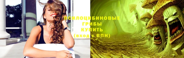 молекула духа Слюдянка
