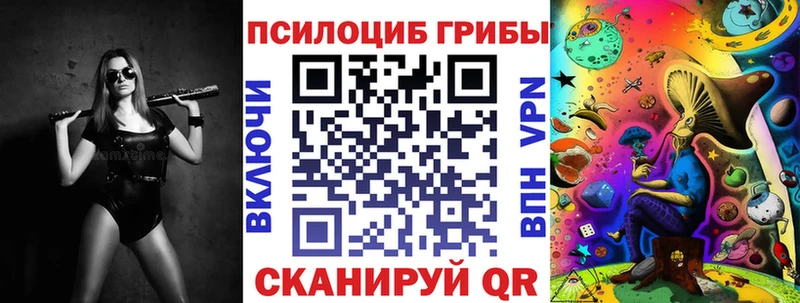 закладки  Можайск  Галлюциногенные грибы Psilocybe 